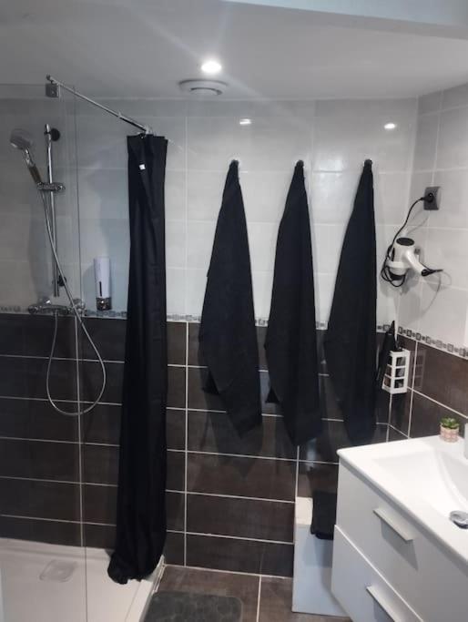 Appartement Coeur De Ville! Foix Buitenkant foto