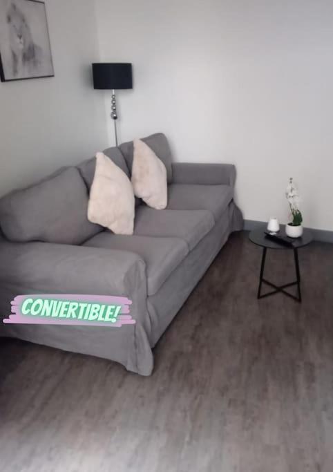 Appartement Coeur De Ville! Foix Buitenkant foto